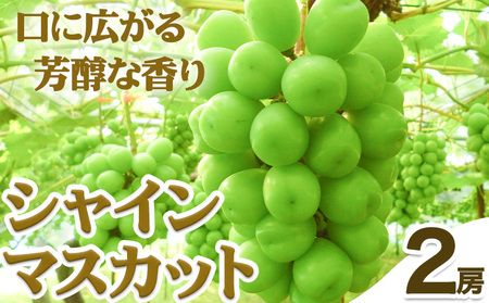 ys\zVC}XJbg R 2[ 700g ȏs2026N9{-9{oׁtR }s Ίە_ 嗱 햳 }XJbg  Ԃǂ t[c ʕ { ɏ ̂ R }