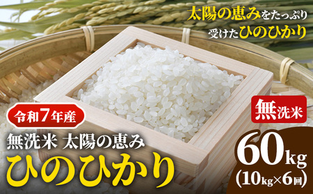 [令和7年産] 岡山県産 ひのひかり 笠岡産 10kg×6回(計60kg) 太陽の恵み (無洗米)奥山営農
