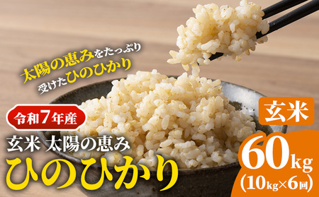 [令和7年産] 岡山県産 ひのひかり 笠岡産 10kg×6回(計60kg) 太陽の恵み (玄米)