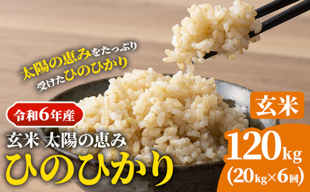 [令和6年産 予約受付]玄米 岡山県産 ひのひかり 笠岡産 120kg(20kg×6回)[10月下旬-9月下旬頃出荷]農事組合法人奥山営農組合 太陽の恵み