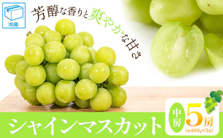 ぶどう シャインマスカット 中房5房(約400g×5房) ふじまる[2024年8月下旬-11月上旬頃出荷]岡山県 笠岡市 送料無料 葡萄 フルーツ 果物 マスカット お取り寄せフルーツ