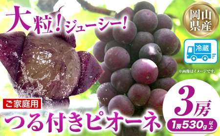 ƒptj[sI[l 3[(1[530gȏ)yzsn悠zLЃz[eBJ`[_ ߘa7NYsts9{-10{oׁtR }s   t[c