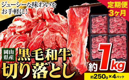 [3ヶ月定期便]牛肉 肉 黒毛和牛 切り落とし 訳あり 大容量 小分け 1kg 1パック 250g 定期便[お申込み月翌月から出荷開始]岡山県産 岡山県 笠岡市 お肉 にく カレー 牛丼 切り落し 切落し