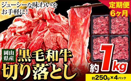 [6ヶ月定期便]牛肉 肉 黒毛和牛 切り落とし 訳あり 大容量 小分け 1kg 1パック 250g 定期便[お申込み月翌月から出荷開始]岡山県産 岡山県 笠岡市 お肉 にく カレー 牛丼 切り落し 切落し 