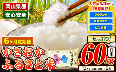 [12月〜5月発送]米 お米 令和7年産 備中笠岡ふるさと米[6ヶ月定期便]60kg 10kg × 6ヶ月 国産 ヒノヒカリ にこまる きぬむすめ