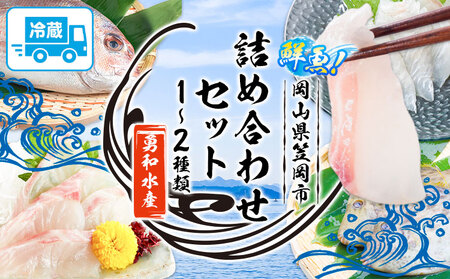 鮮魚 詰め合わせセット(1〜2種) 勇和水産[10月下旬-7月旬頃出荷(土日祝除く)]岡山県 笠岡市 送料無料 冷蔵 おまかせ グルメ