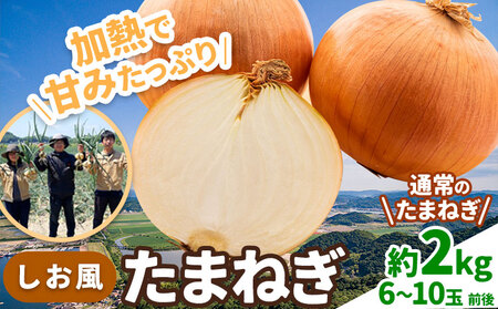 たまねぎ[2025年先行予約分]しお風たまねぎ 約2kg[2025年6月上旬-6月末頃出荷] 玉ねぎ たまねぎ 野菜 青果物 岡山県 笠岡市 玉ねぎ 2kg