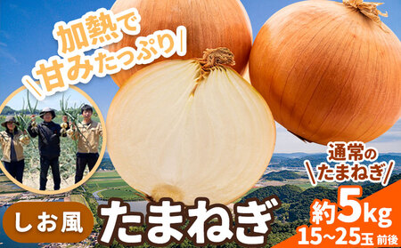 たまねぎ[2025年先行予約分]しお風たまねぎ 約5kg[2025年6月上旬-6月末頃出荷] 玉ねぎ たまねぎ 野菜 青果物 岡山県 笠岡市 玉ねぎ 5kg たまねぎ 玉葱 通常のたまねぎ