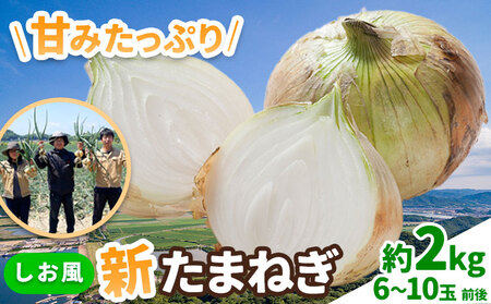 新玉ねぎ[2025年先行予約] しお風新たまねぎ 約2kg [5月中旬-5月末頃出荷] 玉ねぎ 新たまねぎ 玉葱 たまねぎ 新玉 野菜 青果物 岡山県 笠岡市