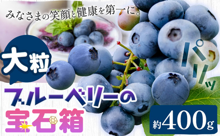 [2026年先行予約]ブルーベリー 大粒 計400g (100g×4パック) 大粒ブルーベリーの宝石箱 かさおか青空ファーム [2026年6月上旬-8下旬頃出荷] 岡山県 笠岡市 送料無料 フルーツ 果物 岡山県産 国産 お取り寄せ st-p