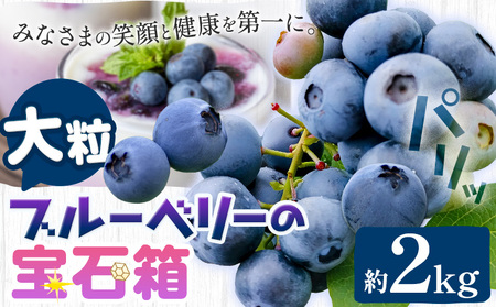 y2026Ns\zu[x[ 嗱 v2kg (500g×4pbN) 嗱u[x[̕Δ t@[ s2026N6{-8{oׁt R }s  t[c ʕ RY 