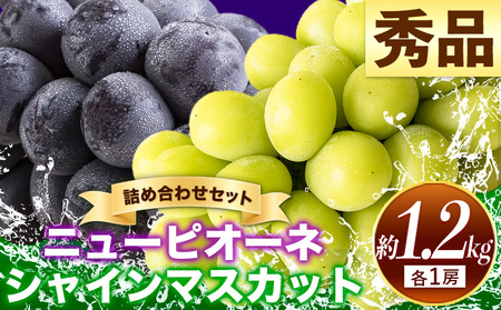 秀品 シャインマスカット ニューピオーネ 約1.2kg[9月中旬〜11月上旬頃に出荷予定(土日祝除く)]|ぶどうぶどうぶどう