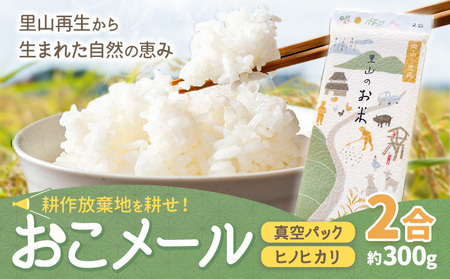 耕作放棄地を耕せ! おこメール2合 約300g Life3091[30日以内に出荷予定(土日祝を除く)]|米米米米米米米