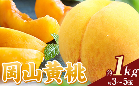 岡山の黄桃 約1kg[8月下旬-9月下旬頃出荷]|桃桃桃桃桃桃