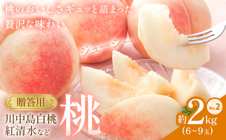 桃 贈答用 no.2 約2kg 6~9玉 川中島白桃や紅清水など 小寺壽夫