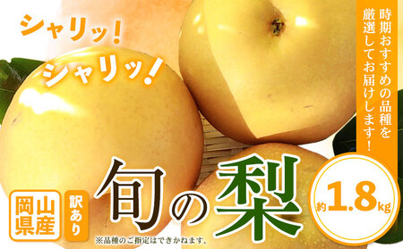 訳あり 旬の梨 約1.8kg[9月上旬-1月末頃に出荷予定]|梨梨梨梨梨梨