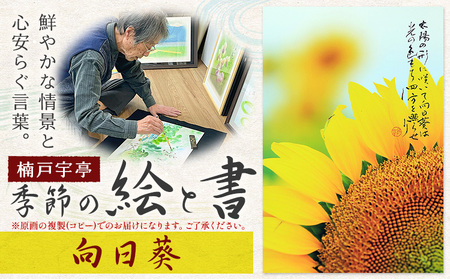 季節の 絵 と 書 向日葵 絵 楠戸宇亭