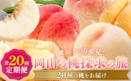 [2026年発送先行予約]桃 5ヶ月 計20回 定期便 岡山 の 桃 探求の旅 20種 各1kg 計20kg 晴れ国おかやま館(漂流岡山)[2026年7月中旬-12月中旬頃出荷]岡山県 笠岡市 もも 果物 フルーツ デザート 送料無料 [配送不可地域あり](離島)