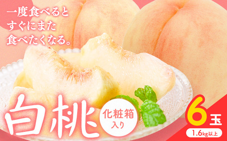 y2026Ns\z 6(1.6kgȏ) ЎR ({)s2026N7{]8{oׁtR }s   t[c { ʕ Y RY  ① ϔyzsn