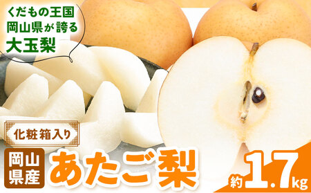 [2026年先行予約]あたご梨 約1.7kg (2玉) 化粧箱入り 株式会社山博[11月下旬-12月下旬頃出荷]岡山県 笠岡市 なし 梨 ナシ 愛宕梨 果物 大玉 岡山県産 国産 送料無料[配送不可地域あり]