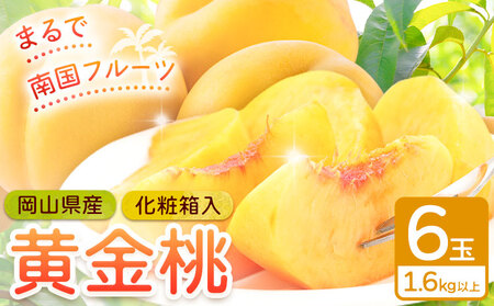  RY  6 1.6kgȏ ЎRs8{-9{oׁt t[c ϔ R }s 