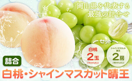  Ԃǂ l R 2(1220gȏ) VC}XJbg  2[(1[480gȏ) ϔ ЎRs7{-8{oׁtR }s t[c ʕ  }XJbg  