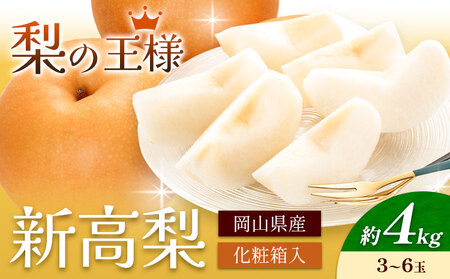  RY V 4kg 3~6 ЎRs9{-11{oׁtV t[c ϔ R }s 