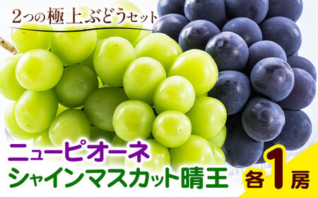 Ԃǂ l j[sI[l1[(1[480gȏ) VC}XJbg  1[(1[480gȏ) ϔ ЎRs8{-10{oׁtR }s t[c ʕ  }XJbg 