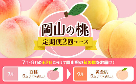 [2回定期便]桃 岡山の桃定期便 2回コｰス 岡山県産 岡山白桃 黄金桃 株式会社山博[7月上旬-9月末頃出荷]岡山県 笠岡市 フルーツ 果物 白桃 もも お取り寄せ[配送不可地域あり]