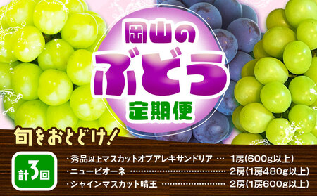 y3ցzԂǂ  v3R[X RY VC}XJbg  j[sI[l }XJbgIuALThA ϔ ЎRs7{-9oׁtR }