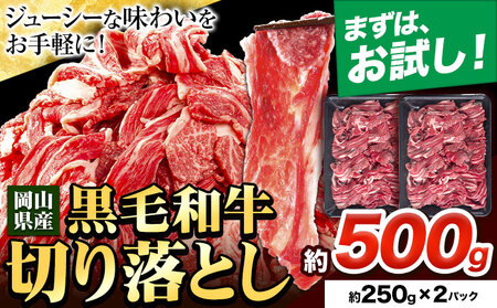 牛肉 肉 黒毛和牛 切り落とし 訳あり 大容量 小分け 500g 1パック 250g [30日以内に出荷予定(土日祝除く)]岡山県産 岡山県 笠岡市 お肉 にく カレー 牛丼 牛肉 切り落し 小分け 切落し 牛肉 小分け 牛肉