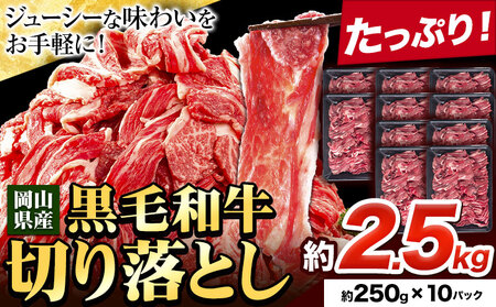   јa ؂藎Ƃ 󂠂 e  2.5kg 1pbN 250g s30ȓɏoח\(yj)tRY R }s  ɂ J[   ؂藎  ؗ  