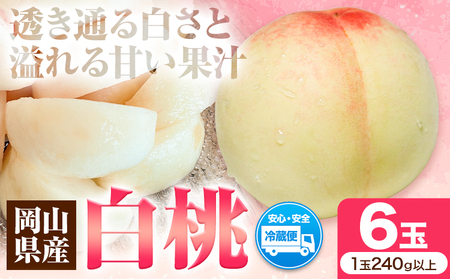 先行受付 岡山県産 白桃 1玉 240g以上 6玉入り ロイヤル [7月中旬-8月下旬頃出荷] [配送不可地域あり]