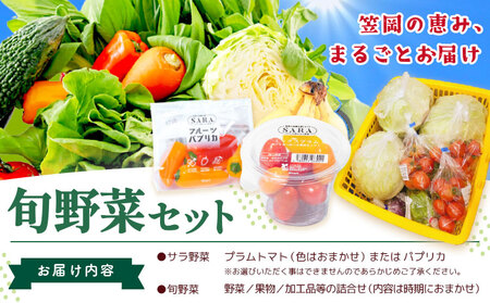野菜 サラ商品とふるさとフレッシュ便 旬野菜セット[30日以内に出荷予定(土日祝を除く)]