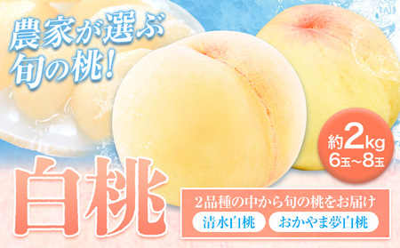 �� ���� ���R ��2kg 6�`8�� ���� ���R���Y ���R�̓� ������ܖ����� �������� ���܂��� �u�����h�� �{ �ʕ� �t���[�c �Â��s7�����{-8����{���o�ׁt�m�Ȕ_��