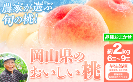 [先行予約][6月中旬-7月上旬頃出荷]桃 早生品種 2kg もも 岡山 はなよめ 白川白鳳 岡山県 笠岡市 送料無料 果物 フルーツ お取り寄せ