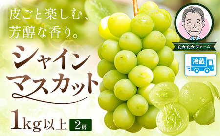 ぶどう シャインマスカット マスカット 2房 1kg [9月上旬-9月下旬頃出荷] たかたかファーム ブドウ 葡萄 マスカット 果物 フルーツ ギフト 岡山県 笠岡市