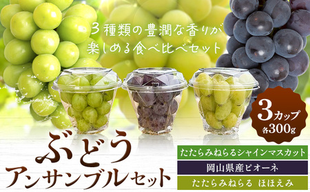 [先行予約]ぶどう 食べ比べ たたらみねらる シャインマスカット ほほえみ ピオーネ ぶどうアンサンブルセット 3カップ 各300g Y&G.ディストリビューター株式会社[2026年8月中旬-10月上旬頃出荷]岡山県 笠岡市 果物 フルーツ ブドウ お取り寄せ