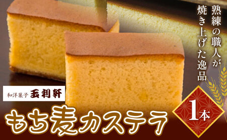もち麦カステラ 1本 株式会社玉利軒[30日以内に出荷予定(土日祝除く)]岡山県 笠岡市 カステラ もち麦 お土産 和菓子 手土産 送料無料