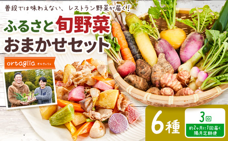 季節の旬野菜 おまかせセット 6種 3回 隔月定期便 (農薬・化学肥料不使用)オルタッリャ [お申込み月の翌月から出荷開始][配送不可地域あり]