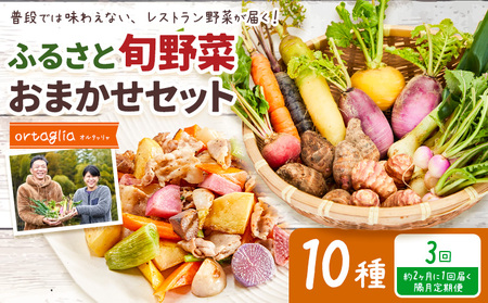 季節の旬野菜 おまかせセット 10種 3回 隔月定期便 (農薬・化学肥料不使用)オルタッリャ [お申込み月の翌月から出荷開始][配送不可地域あり]