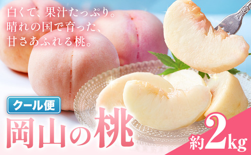岡山の桃 約 2kg 桃 白桃 もも
