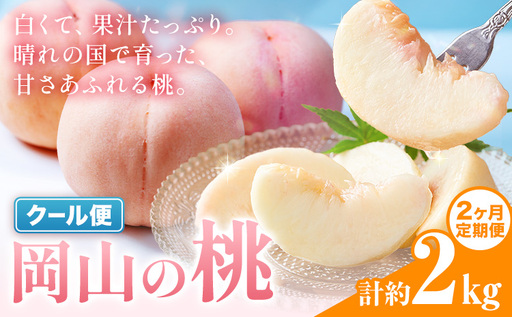 [2ヶ月定期便] 岡山の桃 約 1kg 桃 白桃 もも