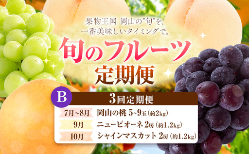 【定期便】旬のフルーツ定期便 岡山のﾌﾙｰﾂ 定期便 Bコース 3回定期便 岡山県産 桃 シャインマスカット ニューピオーネ 梨 《7月上旬-10月末頃出荷》岡山県 笠岡市 フルーツ 旬 果物 ぶどう 梨 マスカット お取り寄せ