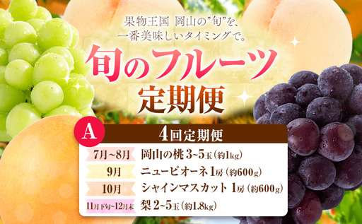 【定期便】旬のフルーツ定期便 岡山のﾌﾙｰﾂ 定期便 Aコース 4回定期便 岡山県産 桃 シャインマスカット ニューピオーネ 梨 《7月上旬-12月末頃出荷》岡山県 笠岡市 フルーツ 旬 果物 ぶどう 梨 マスカット お取り寄せ
