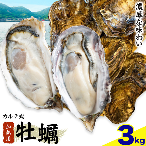 笠岡産 牡蠣 TAKIOKAプレミアム カルチ式 (加熱用) 3kg 牡蠣