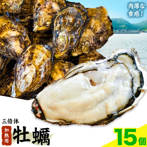 笠岡産 牡蠣 TAKIOKAプレミアム 三倍体 (加熱用) 15個 牡蠣