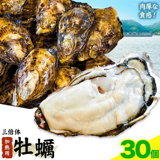 笠岡産 牡蠣 TAKIOKAプレミアム 三倍体 (加熱用) 30個 牡蠣