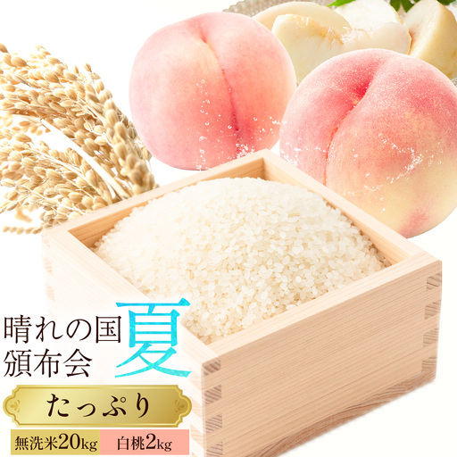 晴れの国頒布会 夏 たっぷり 無洗米 20kg 白桃 2kg
