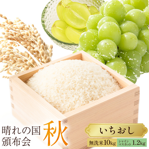 晴れの国頒布会 秋 いちおし 無洗米 10kg シャインマスカット 1.2kg